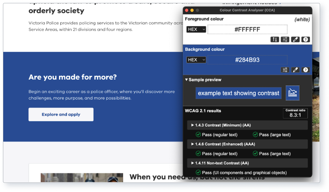 Screenshot that shows the results from a colour contrast analyser.